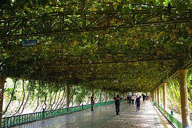 IGN开启年度最佳游戏投票 《艾尔登法环》得票近半高居榜首